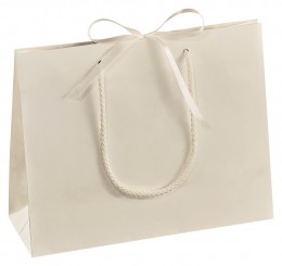Paper carrier bags, medium, pearly white metallic, without imprint 