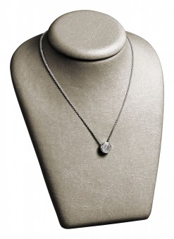 Bustes bijoux 55012176660000  image 1